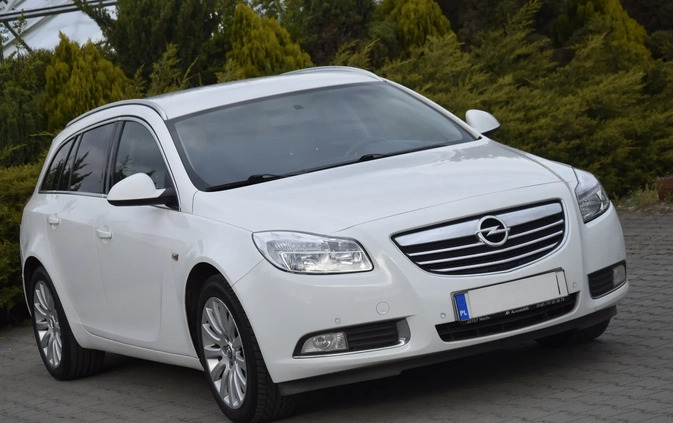 Opel Insignia cena 22900 przebieg: 299000, rok produkcji 2010 z Żuromin małe 466